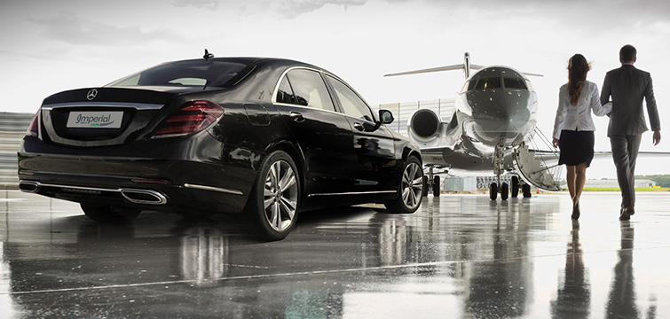 vips transfer